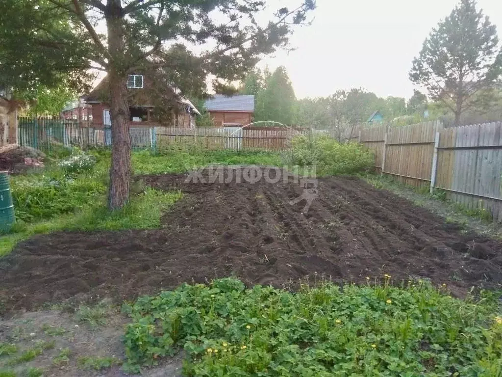 Участок в Новосибирская область, Новосибирский район, Новолуговской ... - Фото 0