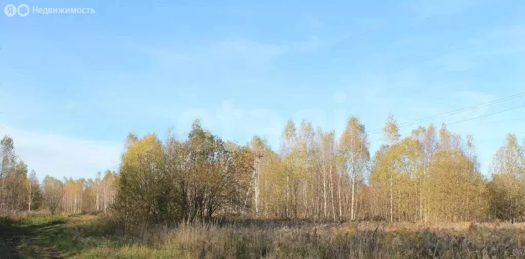 Участок в Тульская область, городской округ Тула, СТ Заря (6 м) - Фото 1