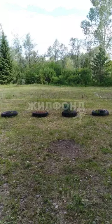 Участок в Новосибирская область, Новосибирский район, с. Кубовая ... - Фото 0