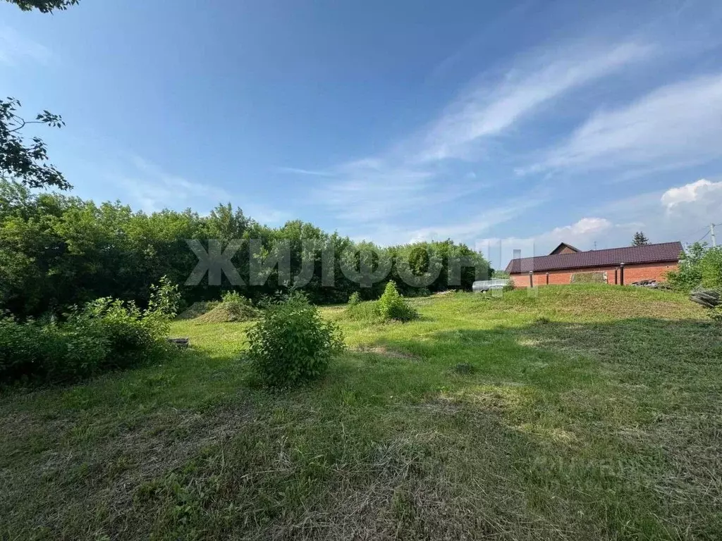 Участок в Новосибирская область, Новосибирский район, с. Ярково ... - Фото 1