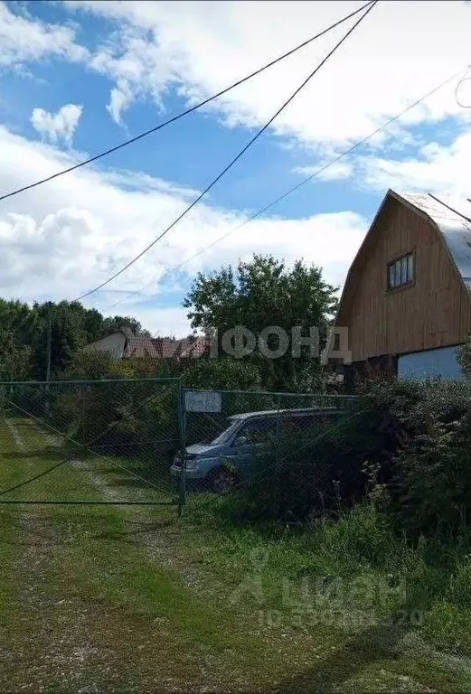 Участок в Новосибирская область, Новосибирский район, Морской ... - Фото 1