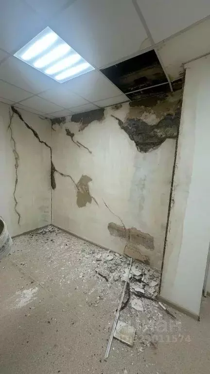 Помещение свободного назначения в Калмыкия, Элиста ул. А.С. Пушкина, ... - Фото 1