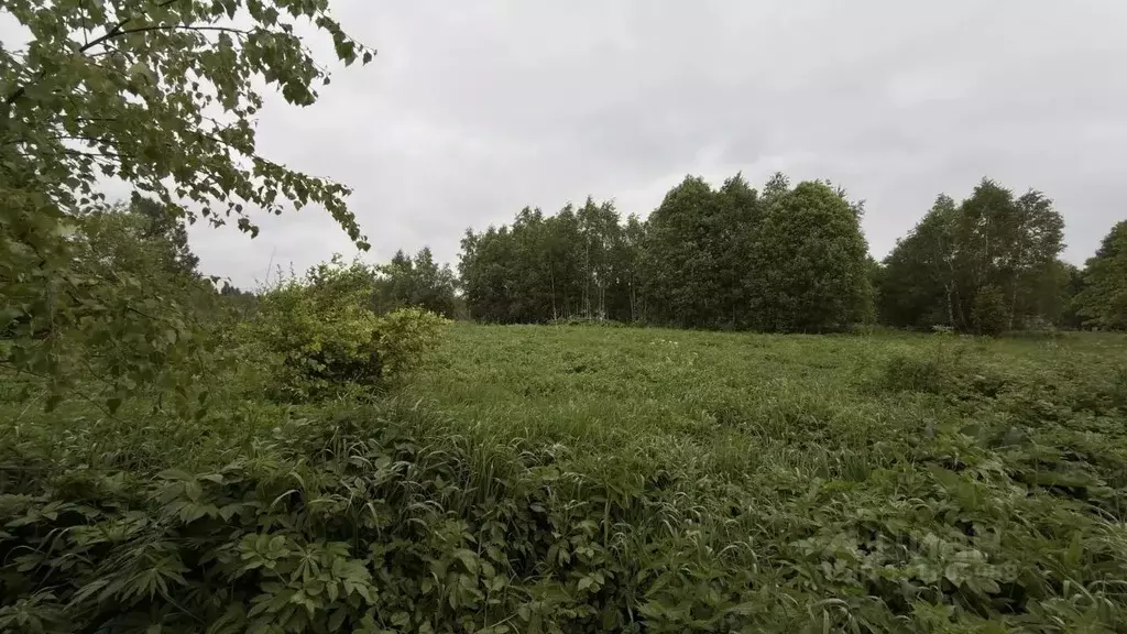 Участок в Московская область, Истра ул. Ленина, Река Истра (7.45 сот.) - Фото 1