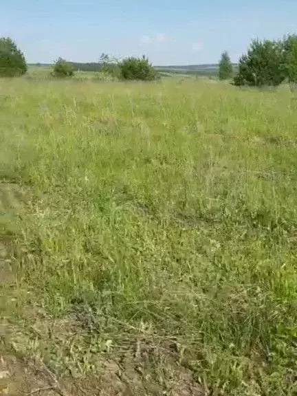Участок 10 сот. (ИЖС) - Фото 1