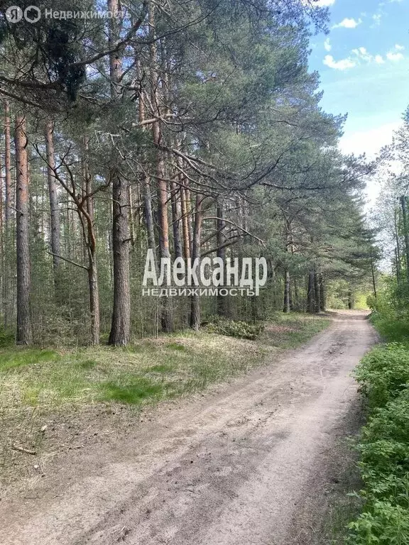Участок в Приозерск, Садовая улица (12 м) - Фото 1