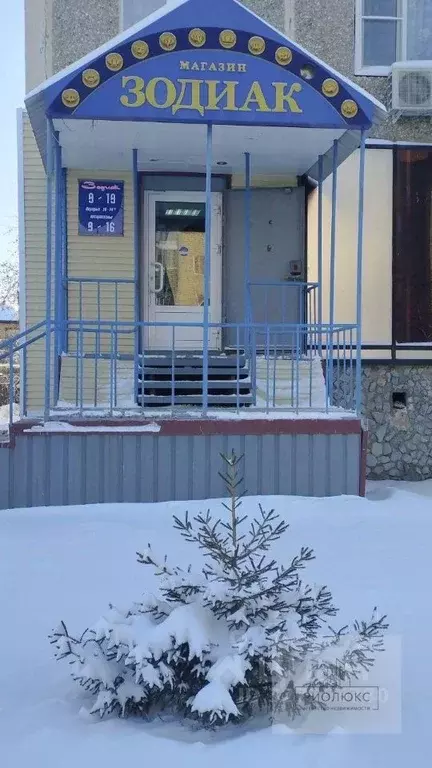 Помещение свободного назначения в Челябинская область, Пласт ... - Фото 1