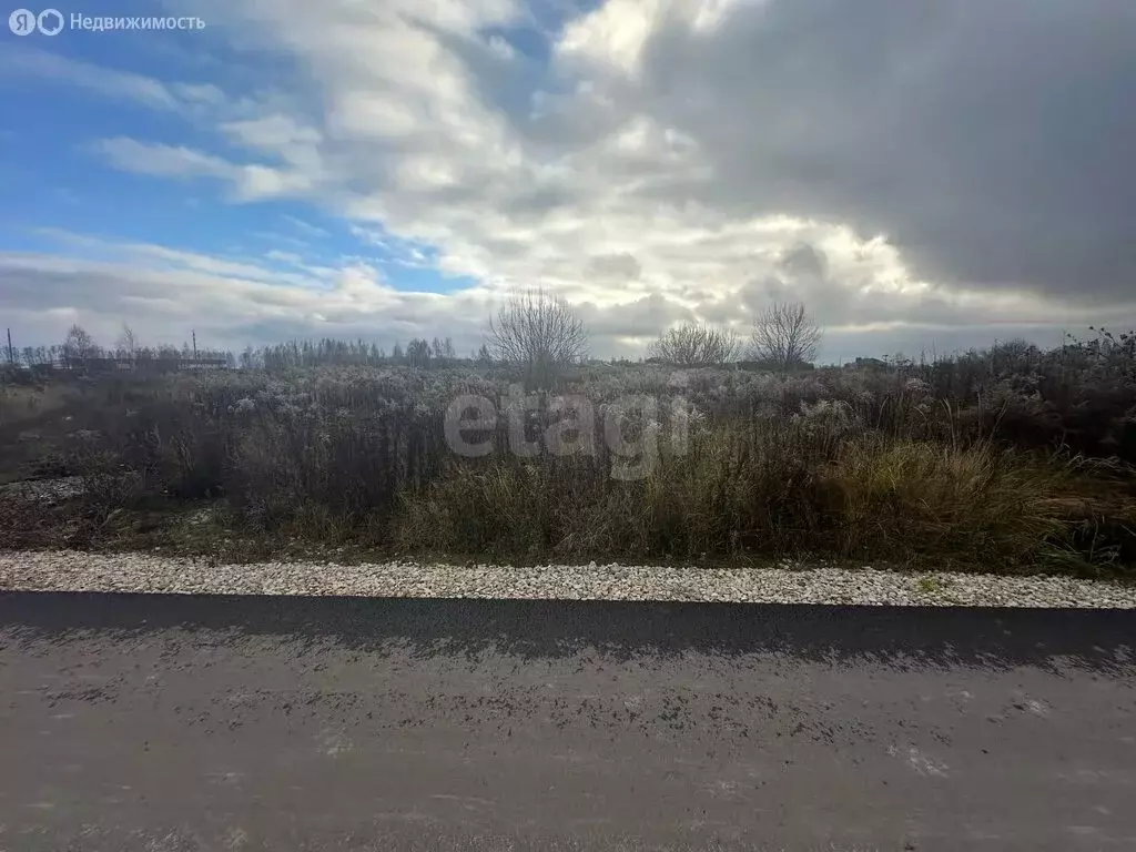 Участок в Брянский район, Добрунское сельское поселение, деревня ... - Фото 2