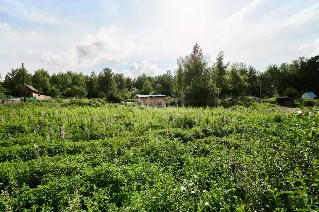 Участок в Томская область, Томск Микрон садовое товарищество, ул. 14-я ... - Фото 0