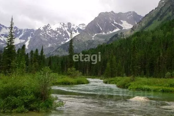 Участок в Алтай, Усть-Коксинский район, с. Мульта Центральная ул. ... - Фото 1