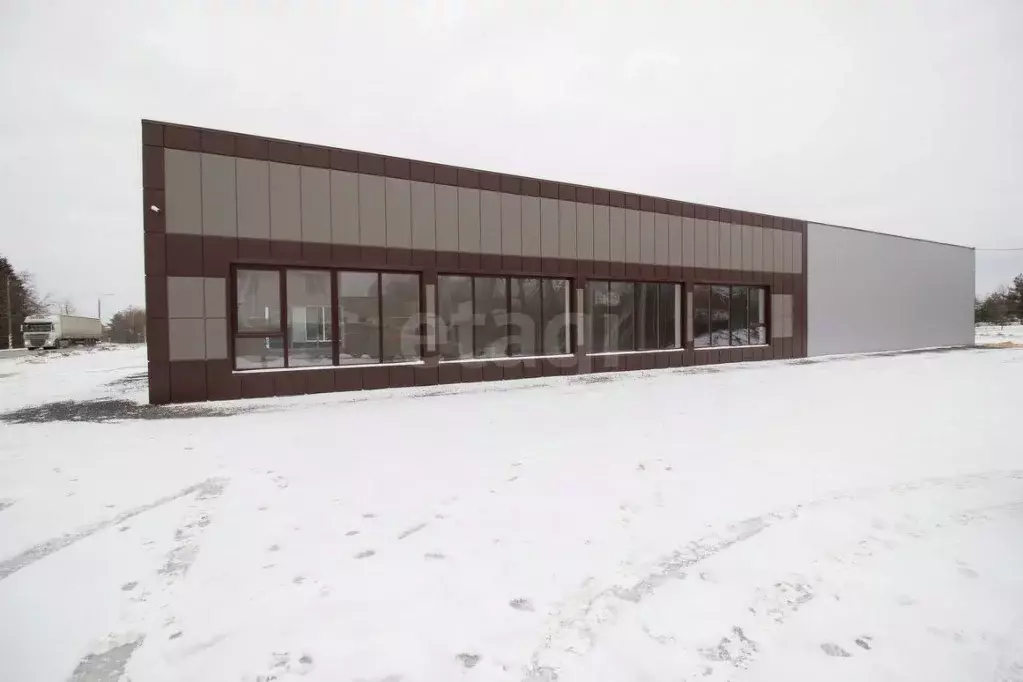 Торговая площадь в Калужская область, Медынь Молодежная ул., 24 (365 ... - Фото 2