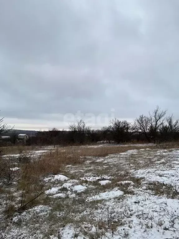 Участок в Белгородская область, Белгородский район, Никольское с/пос, ... - Фото 0