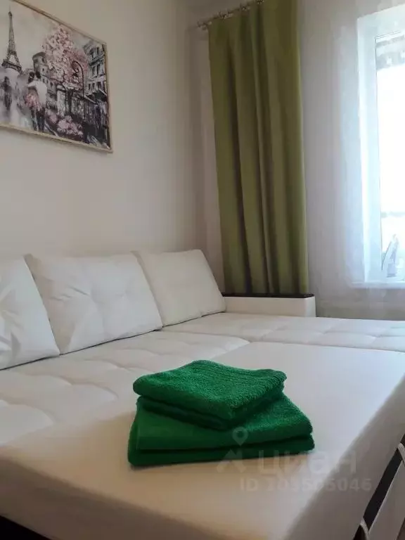 1-к кв. Санкт-Петербург просп. Ветеранов, 169к3 (23.0 м) - Фото 1