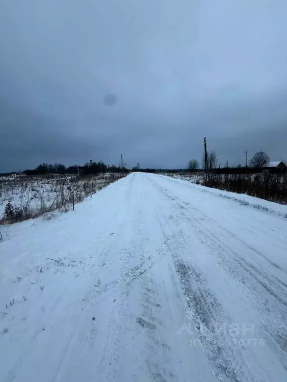Участок в Псковская область, Палкинский район, Новоуситовская волость, ... - Фото 2