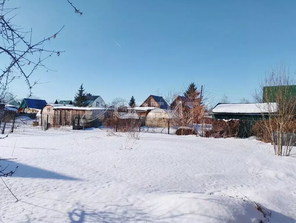 Участок в Тюменская область, Тюмень Домостроитель СНТ, ул. Гвоздика, ... - Фото 2