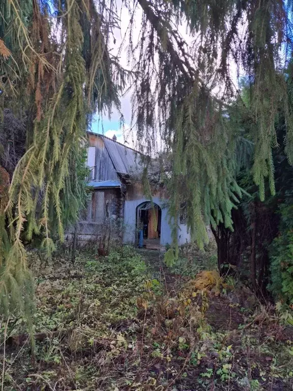 Дом в Новгородская область, Старорусский район, Ивановское с/пос, д. ... - Фото 2