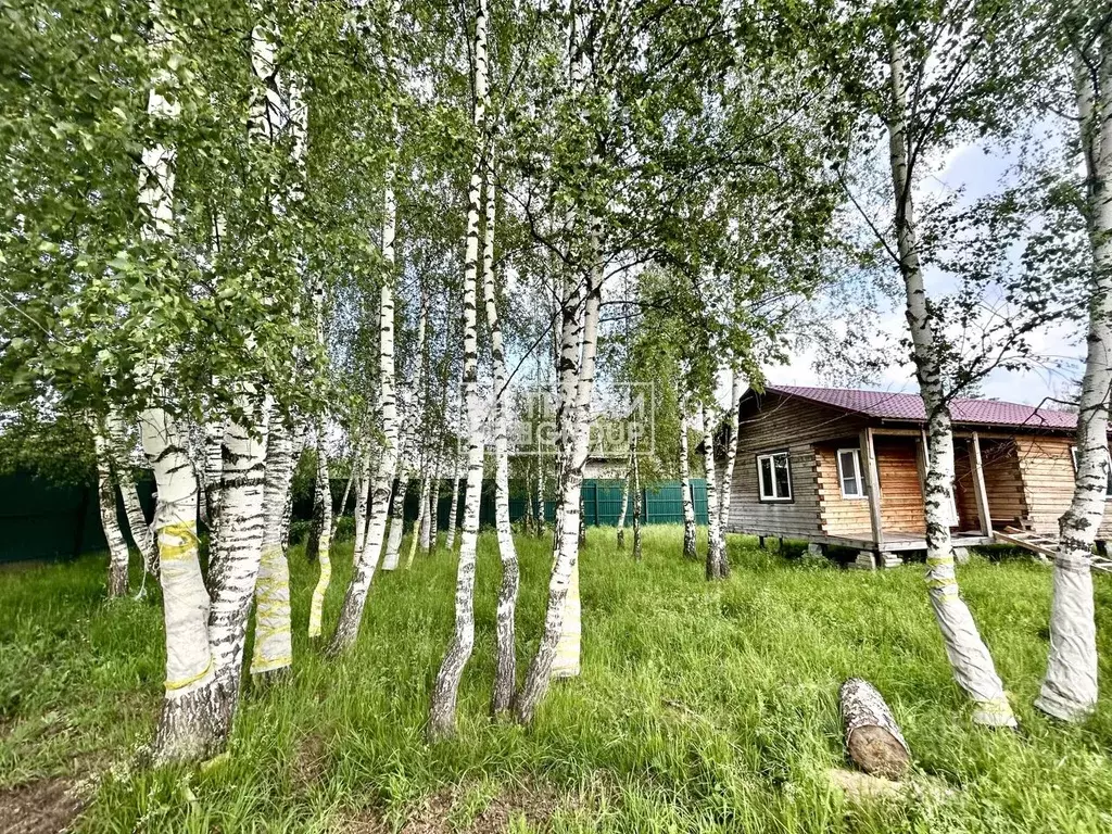 Участок в Московская область, Лосино-Петровский городской округ, д. ... - Фото 1