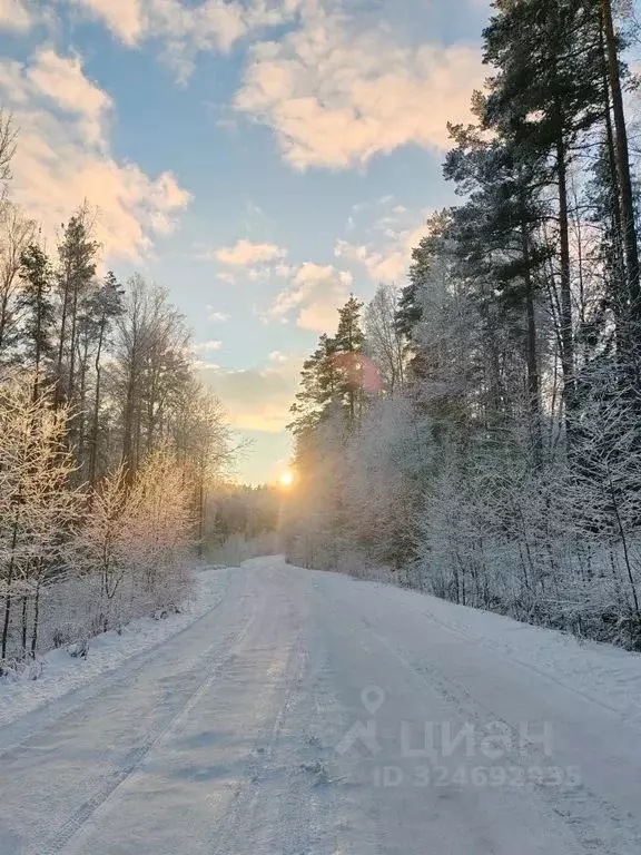 Дом в Ленинградская область, Всеволожский район, Куйвозовское с/пос, ... - Фото 2