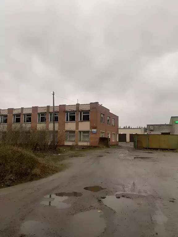Производственное помещение в Ленинградская область, Луга Ленинградское ... - Фото 1