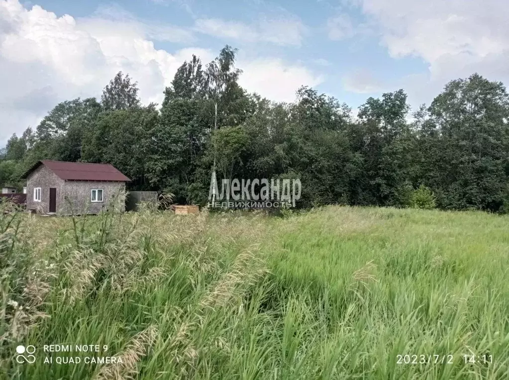 Участок в Ленинградская область, Приозерский район, Ромашкинское ... - Фото 1