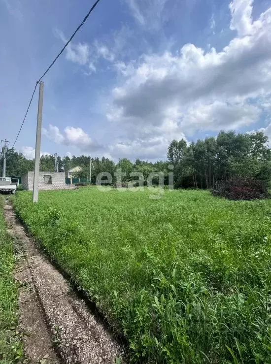 Участок в Амурская область, Благовещенск Азимут СТ,  (8.0 сот.) - Фото 1