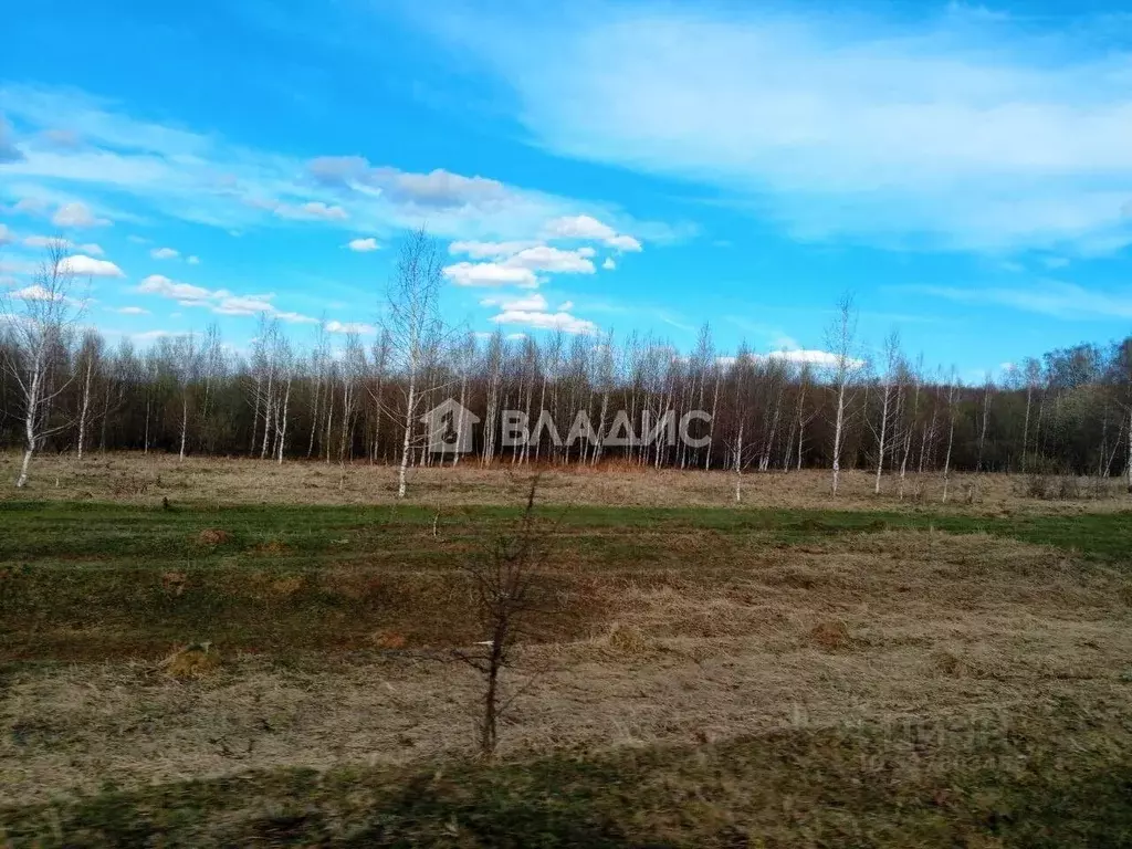 Участок в Нижегородская область, Богородский муниципальный округ, д. ... - Фото 2