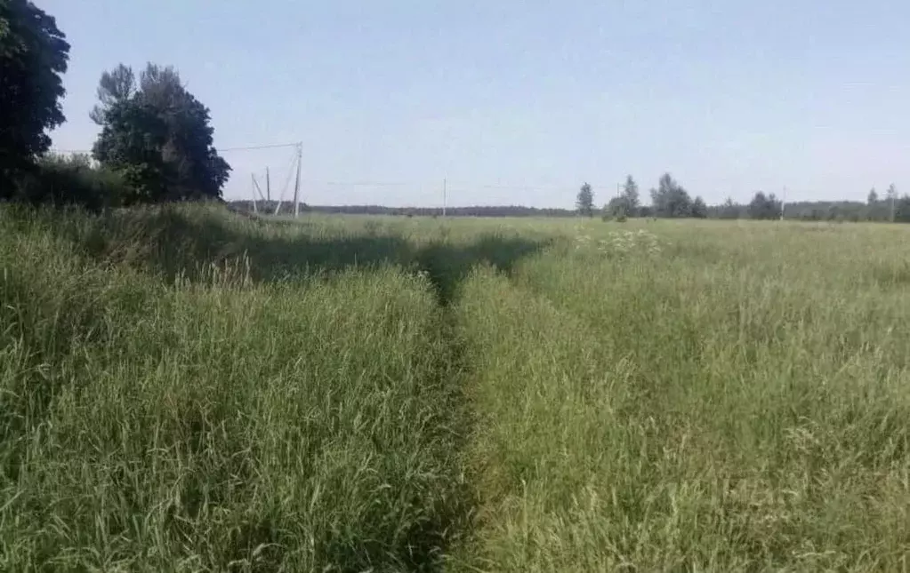 Участок в Тверская область, Калининский муниципальный округ, д. ... - Фото 2