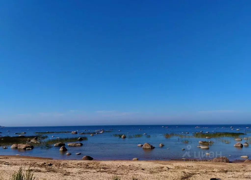Дом в Ленинградская область, Ломоносовский район, Лебяженское ... - Фото 2