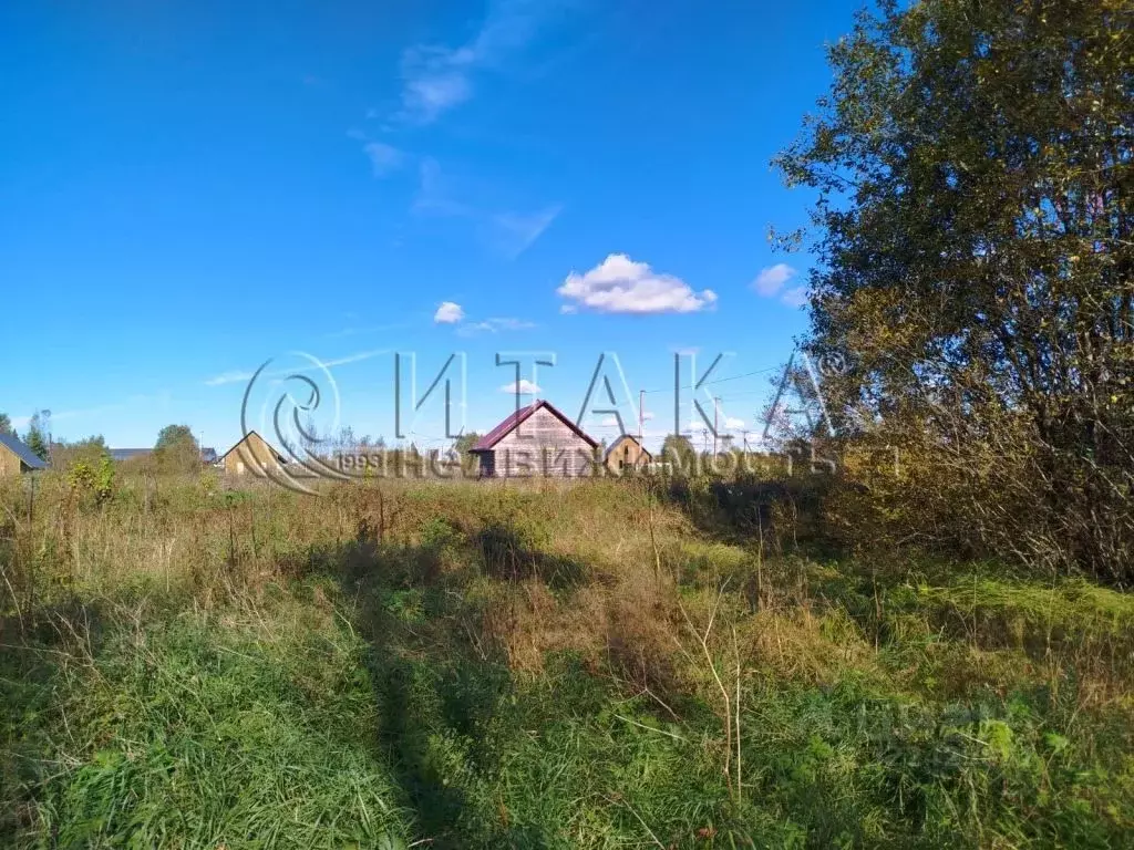 Участок в Ленинградская область, Лужский район, Толмачевское городское ... - Фото 2