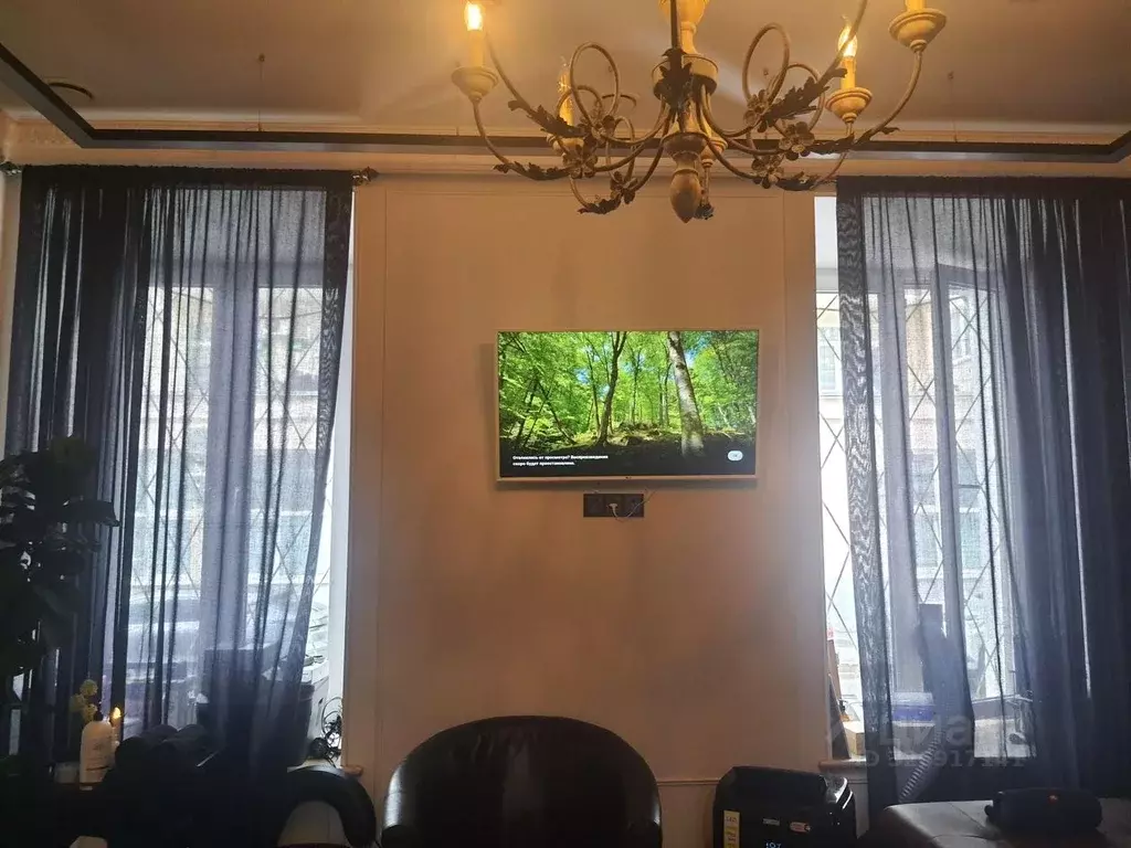 Помещение свободного назначения в Москва Малый Трехсвятительский пер., ... - Фото 2