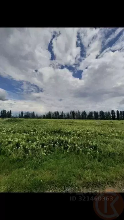 Участок в Крым, Белогорский район, с. Ароматное ул. Школьная, 26 (15.0 ... - Фото 1