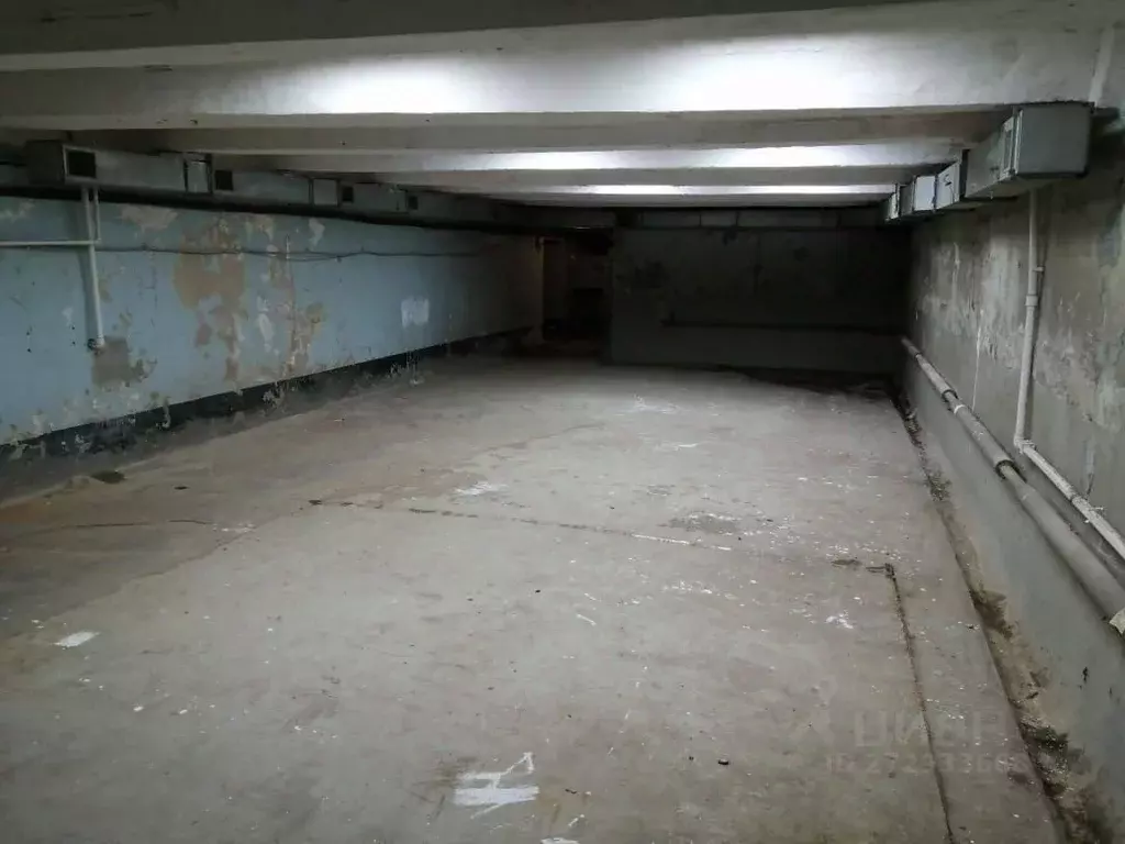 Помещение свободного назначения в Татарстан, Набережные Челны ул. ... - Фото 1