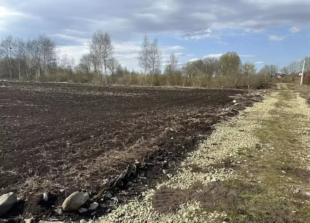 Участок в Ленинградская область, Гатчинский муниципальный округ, д. ... - Фото 2