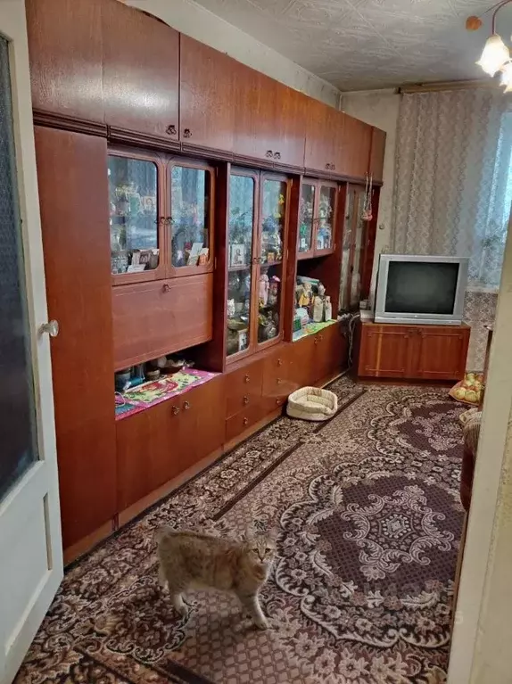 4-к кв. Омская область, Омск ул. Челюскинцев, 102к2 (75.0 м) - Фото 2