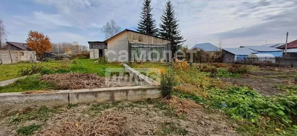 Участок в Алтайский край, Бийск пос. Сорокино, ул. Красносельская ... - Фото 1