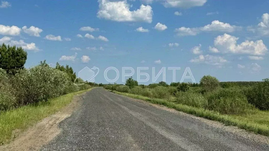 Участок в Тюменская область, Тюменский район, с. Салаирка  (30.0 сот.) - Фото 1