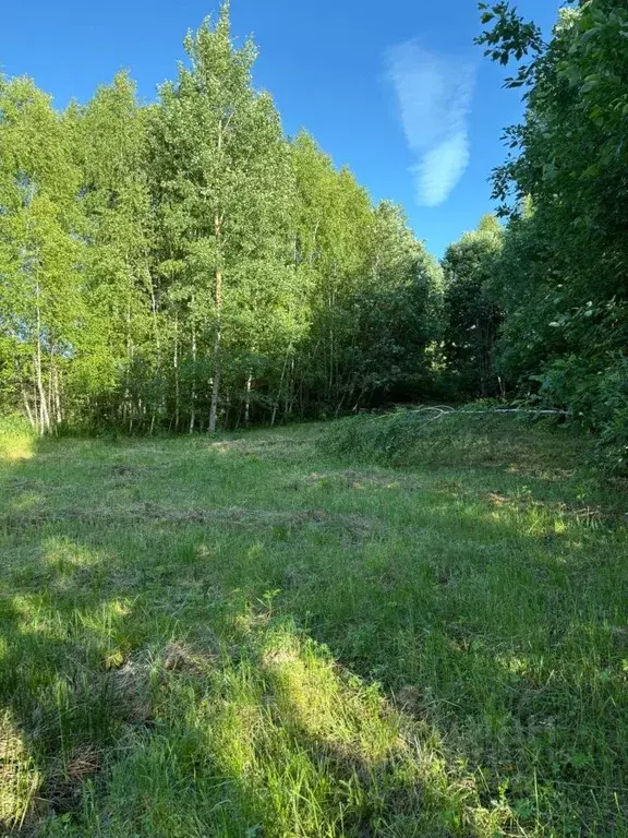 Участок в Московская область, Клин городской округ, д. Поповка  (23.0 ... - Фото 2