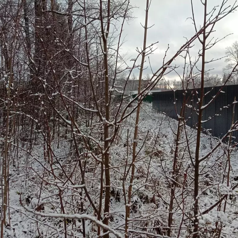 Участок в Московская область, Клин городской округ, пос. Нарынка ул. ... - Фото 2