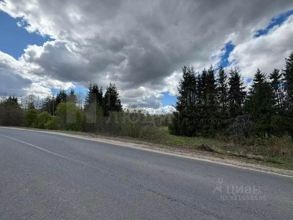 Участок в Новгородская область, Боровичский район, Опеченское с/пос, ... - Фото 2