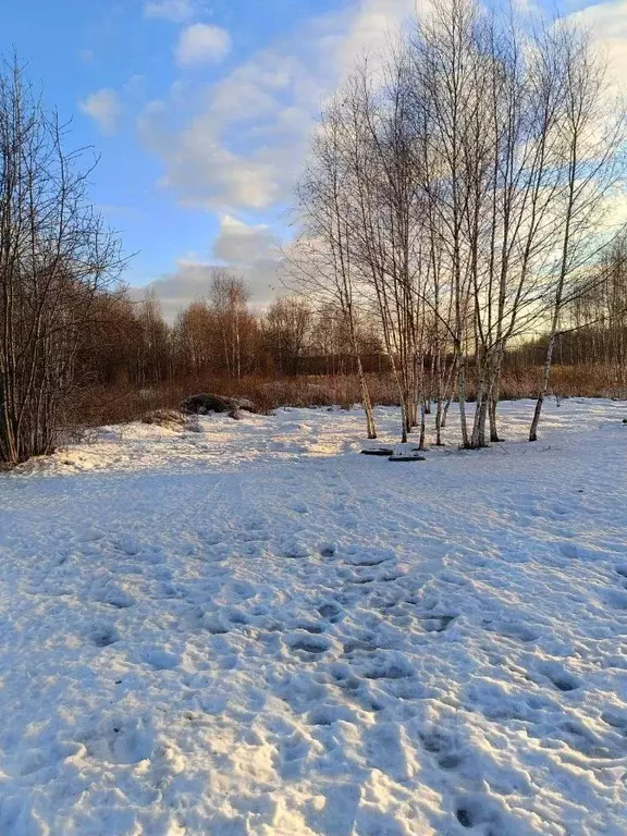 Участок в Московская область, Электрогорск Павлово-Посадский городской ... - Фото 0