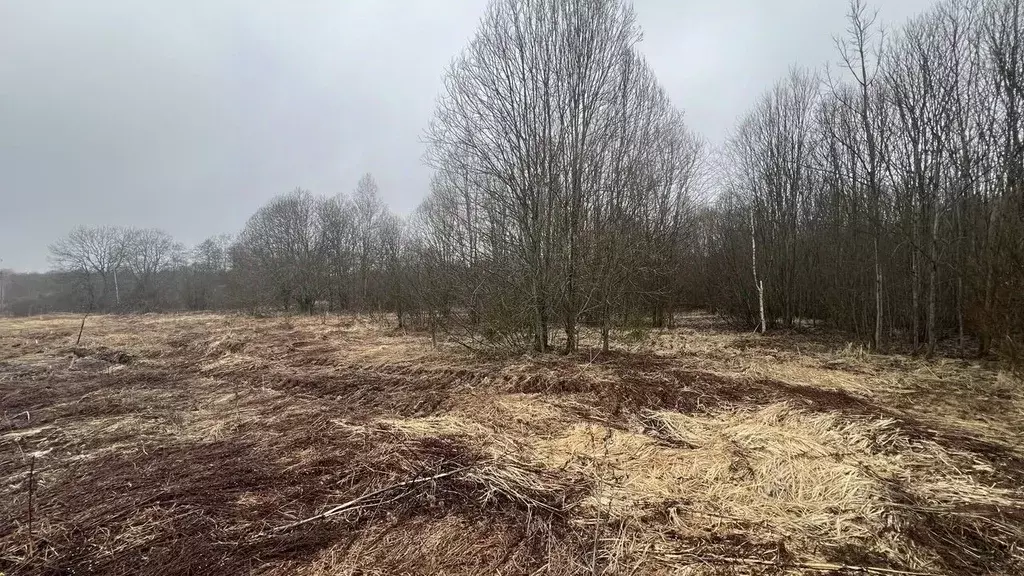 Участок в Московская область, Истра муниципальный округ, д. Шапково  ... - Фото 0