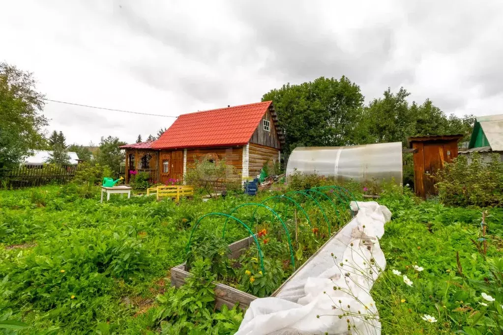 Дом в Тюменская область, Тюмень Салют СНТ, ул. Ягодная (27 м) - Фото 1