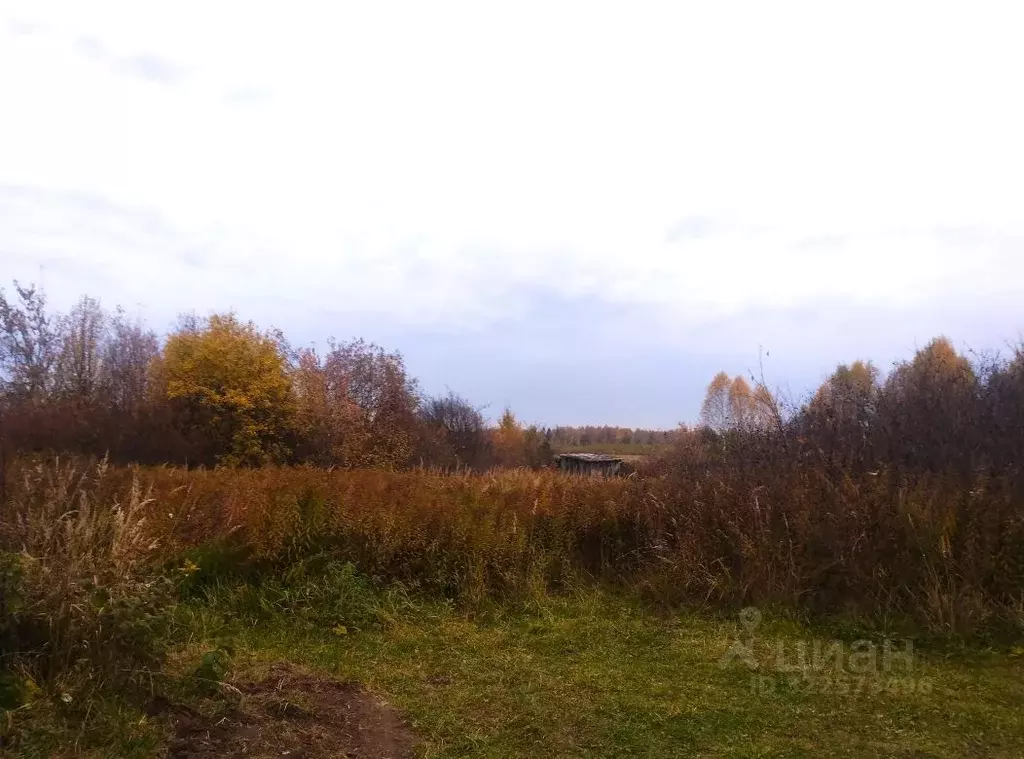 Участок в Марий Эл, Медведевский район, Нурминское с/пос, Мазары СНТ  ... - Фото 2