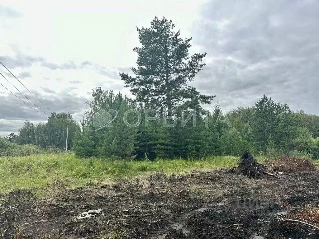 Участок в Тюменская область, Тюменский район, Лесник-2 СНТ  (15.0 ... - Фото 1