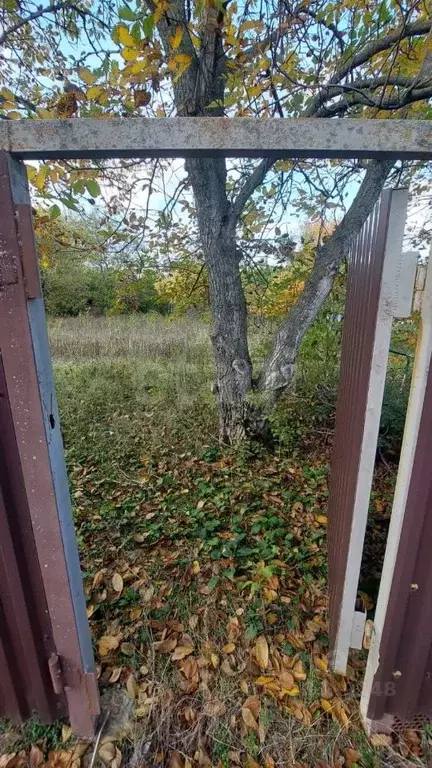 Участок в Ростовская область, Аксайский район, Истоминское с/пос, ... - Фото 2