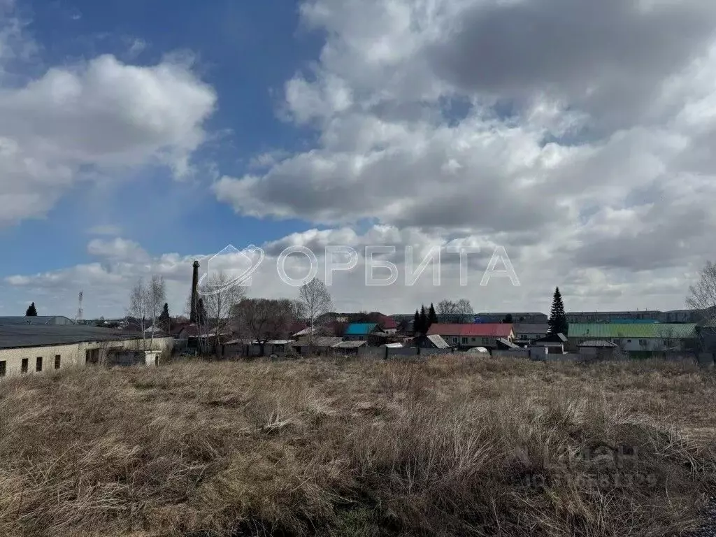 Участок в Тюменская область, Тюменский район, с. Червишево Советская ... - Фото 1