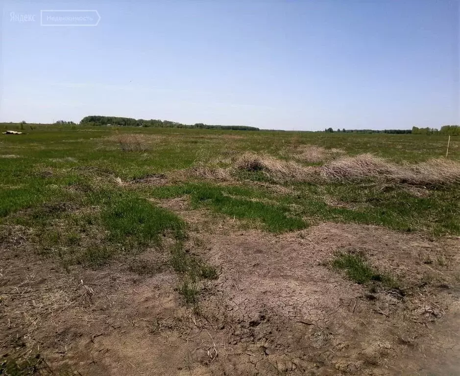 Рабочий поселок шербакуль. Шербакуль поселок.