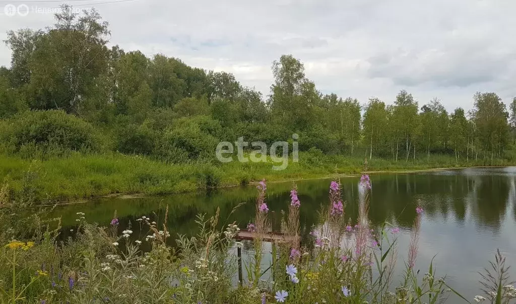 Участок в Барышевский сельсовет, дачное некоммерческое товарищество ... - Фото 0