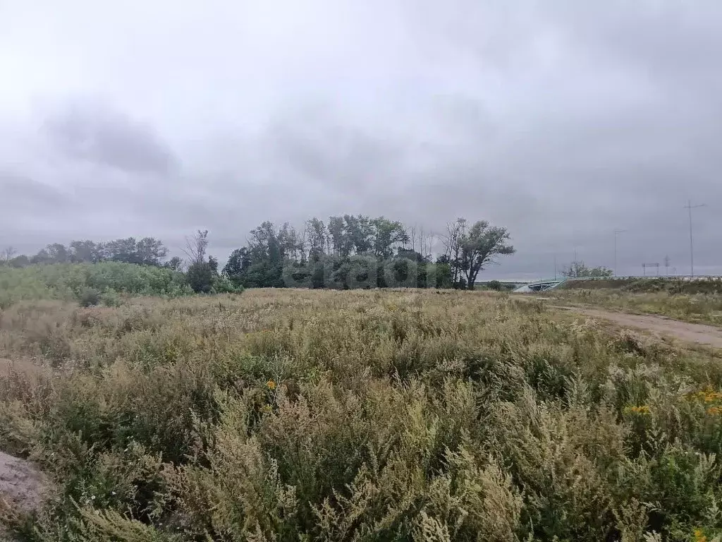 Участок в Тульская область, Воловский округ, д. Сухие Плоты  (100.0 ... - Фото 1