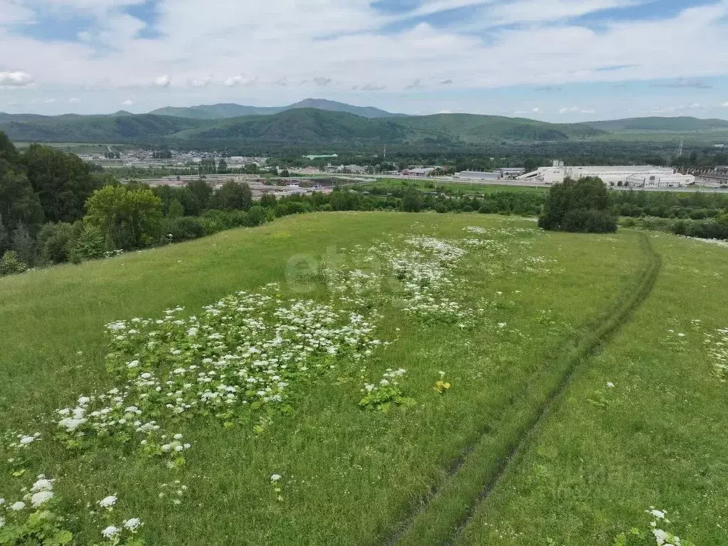 Участок в Алтай, Майминский район, с. Майма  (8.0 сот.) - Фото 1