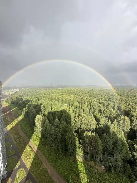 2-к кв. Санкт-Петербург наб. Реки Каменки, 23 (49.0 м) - Фото 1